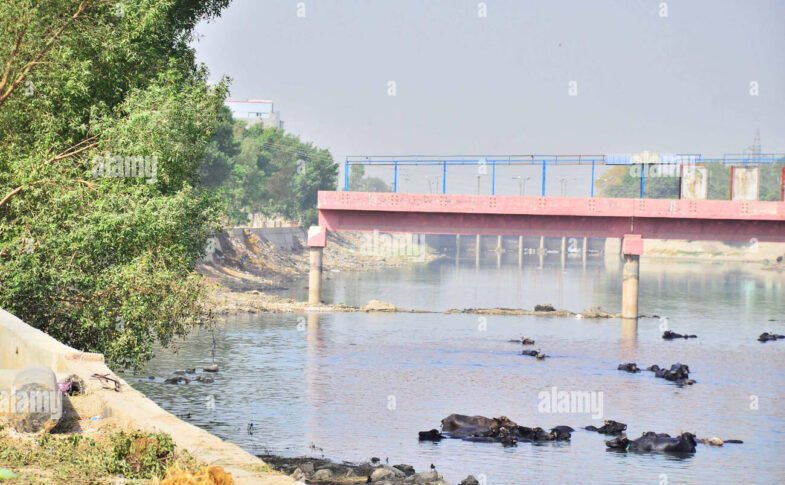 Rice Canal Bridge